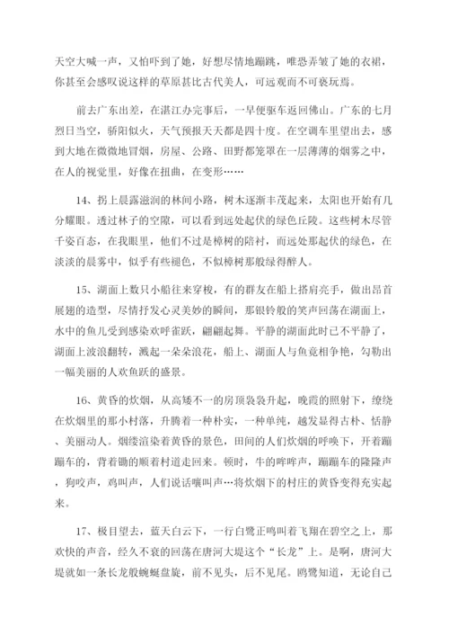 中考满分作文的精彩片段摘抄(优秀3篇).docx