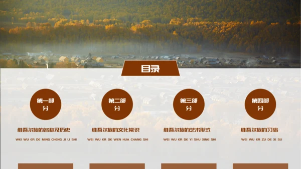 少数民族民俗文化之维吾尔族知识PPT模板