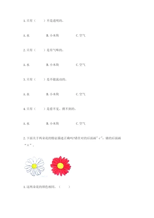 教科版一年级下册科学期末测试卷及参考答案【夺分金卷】.docx