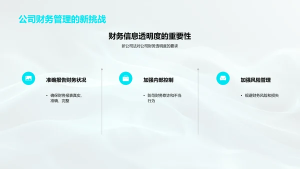 公司法解读报告