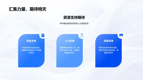 化学项目年度汇报