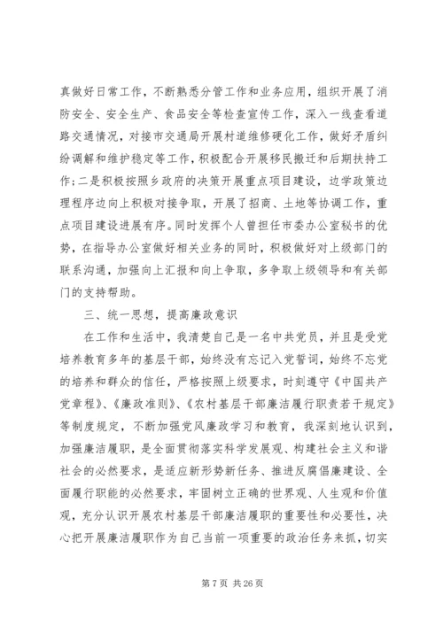 人民政府副乡长个人述职述廉报告.docx