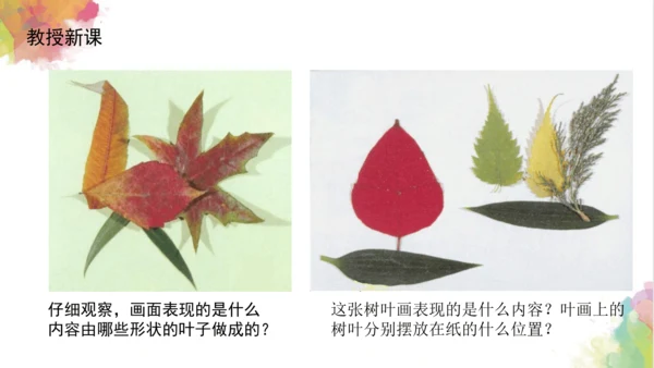 第十一课《拓印树叶真有趣》课件