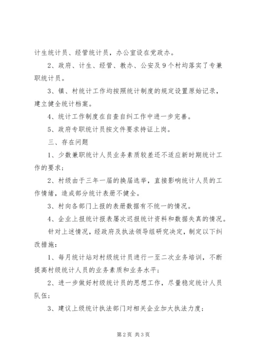 乡镇统计工作自查报告.docx