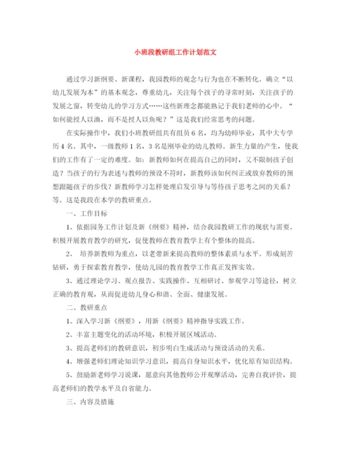 精编之小班段教研组工作计划范文.docx