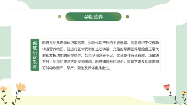 绿色小清新孕期保健知识PPT模板孕期知识