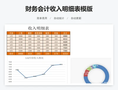 财务会计收入明细表模版