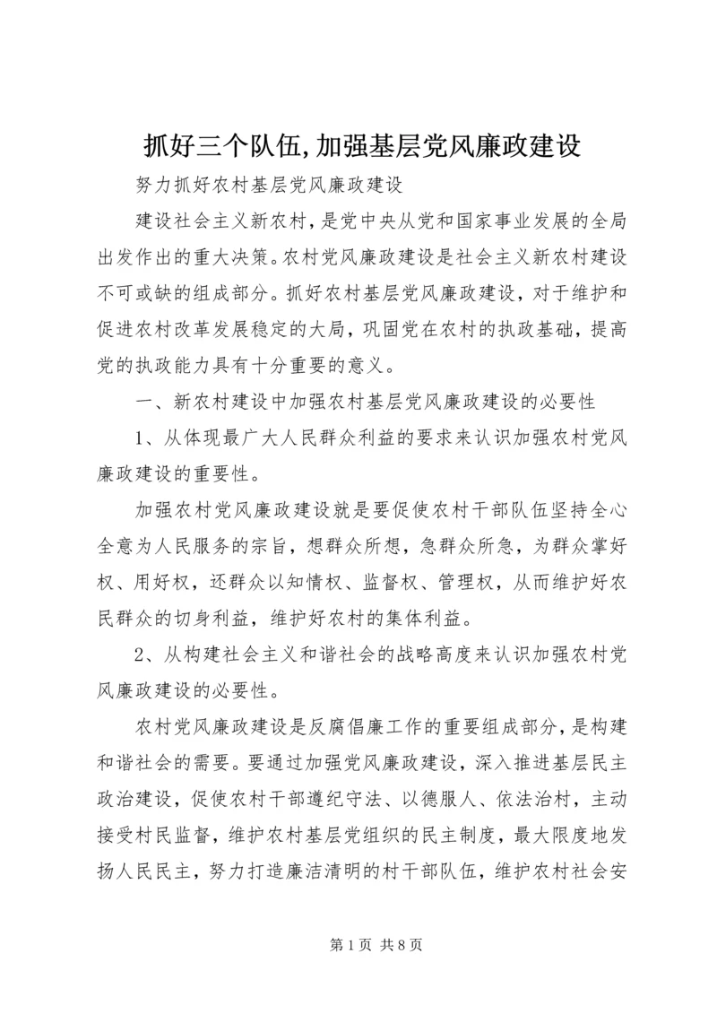 抓好三个队伍,加强基层党风廉政建设 (4).docx