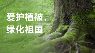 3.6 爱护植被，绿化祖国2023-2024学年七年级生物上册精品课件（人教版）(共21张PPT)