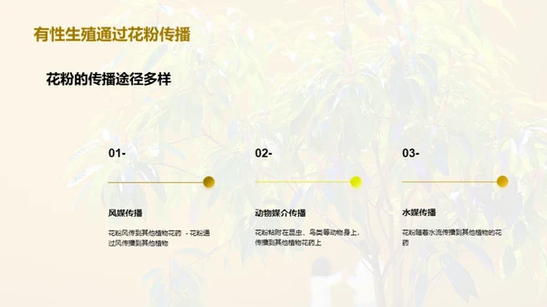 商务风教育培训教学课件PPT模板