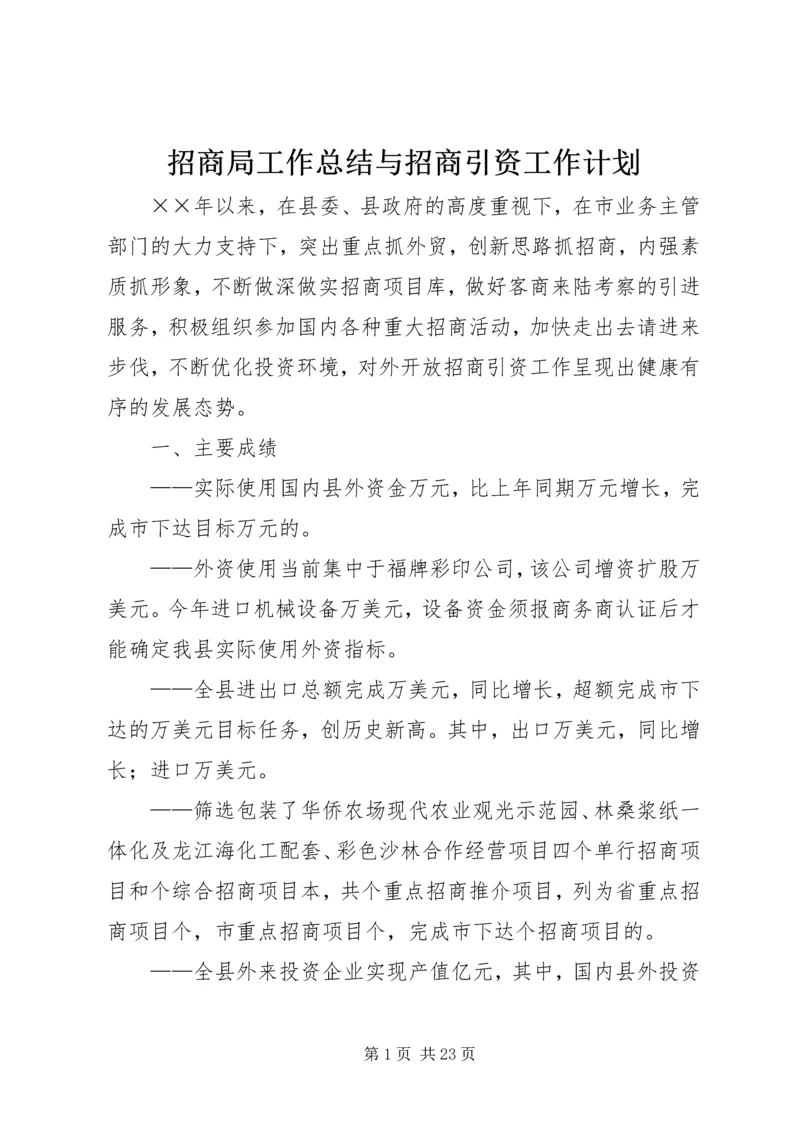 招商局工作总结与招商引资工作计划.docx