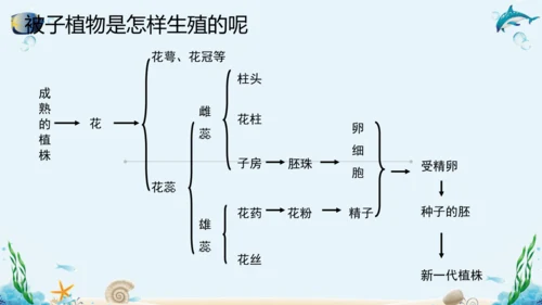 人教版八年级下册生物复习课件