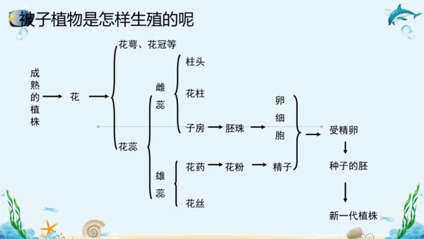 人教版八年级下册生物复习课件