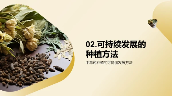 绿色农业：中草药种植新视角