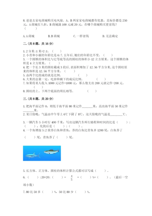 小学数学六年级下册竞赛试题【模拟题】.docx