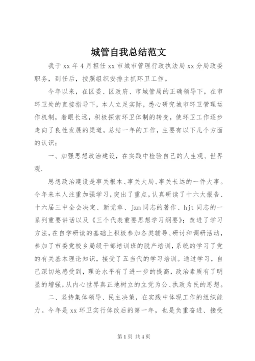 城管自我总结范文.docx