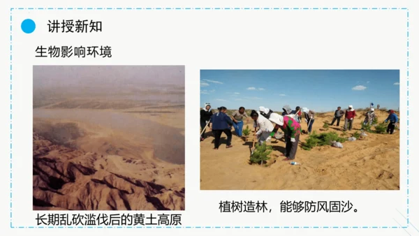 1.2.1生物与环境的关系课件2023--2024学年人教版生物七年级上册(共30张PPT)