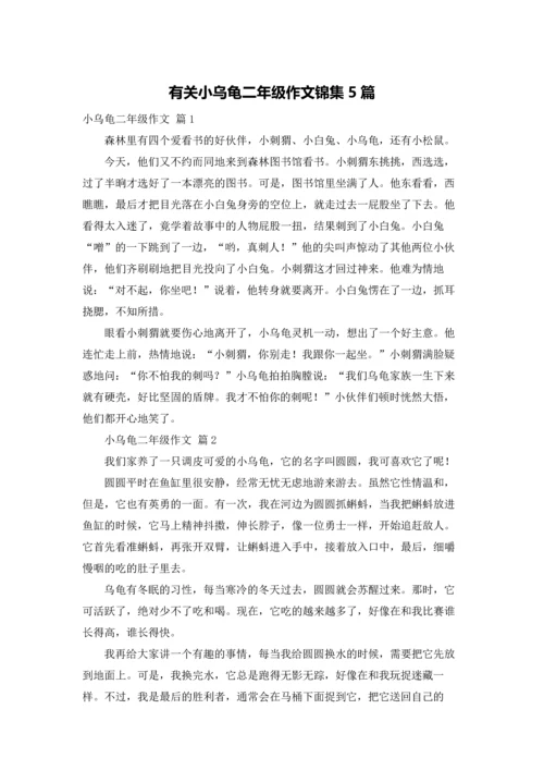 有关小乌龟二年级作文锦集5篇.docx