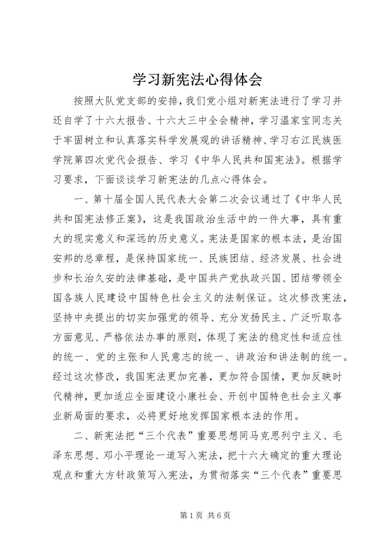 学习新宪法心得体会 (4).docx