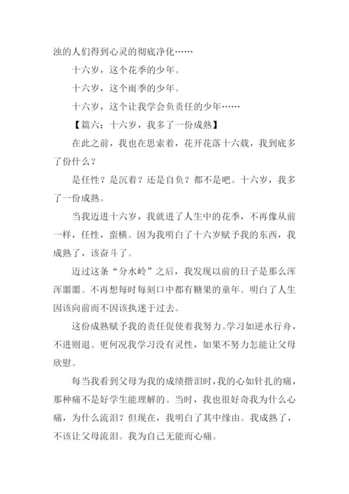 十六岁我多了一份什么作文.docx