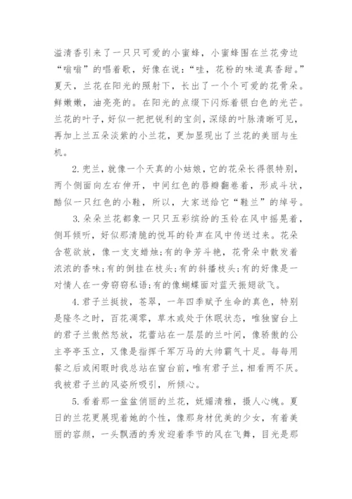 描写玉兰花的优美句子.docx