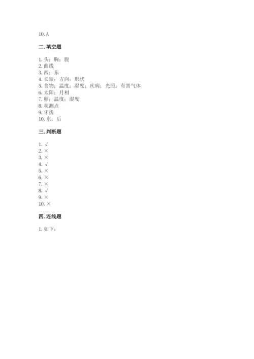 教科版科学三年级下册 期末测试卷（word）.docx