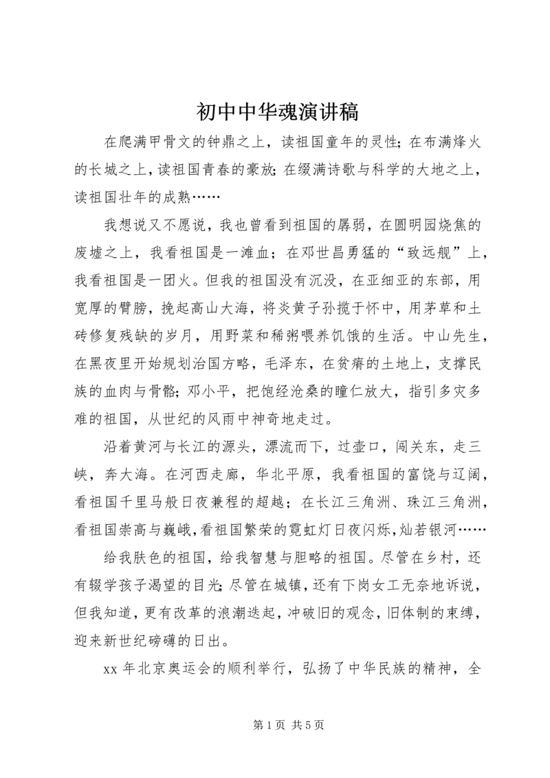 初中中华魂演讲稿 (2).docx