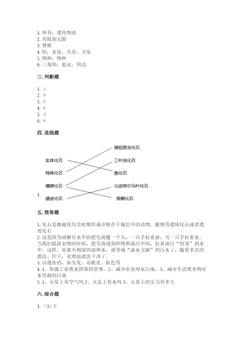 教科版科学六年级下册期末测试卷及参考答案（培优b卷）.docx