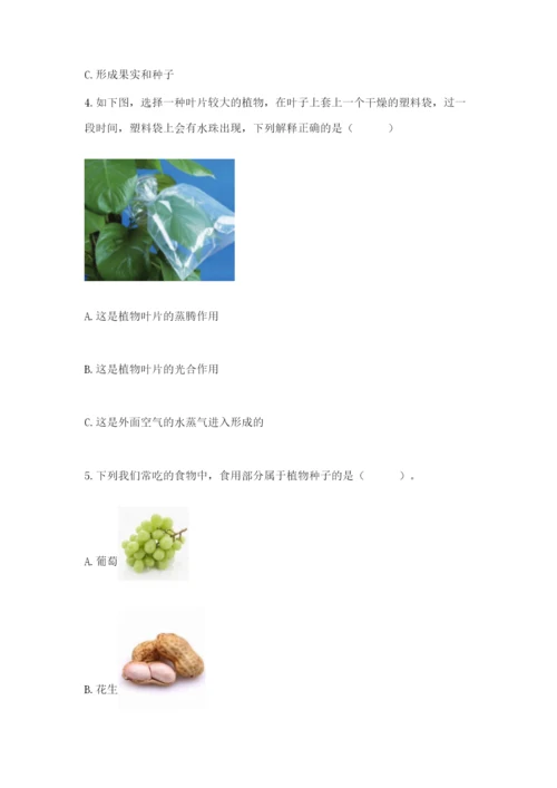 教科版科学四年级下册第一单元《植物的生长变化》测试卷及答案（精品）.docx