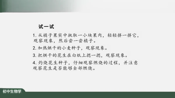 2.1.4  细胞的生活 课件（共26张PPT）