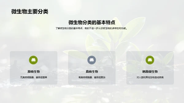 环保中的微生物应用