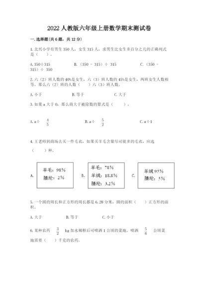 2022人教版六年级上册数学期末测试卷附完整答案【夺冠系列】.docx