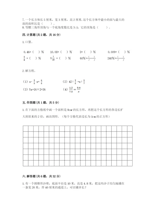 杂多县六年级下册数学期末测试卷标准卷.docx