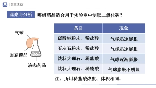 6.2-1二氧化碳制取的研究 第1课时 课件(共21张PPT) -2023-2024学年九年级化学上