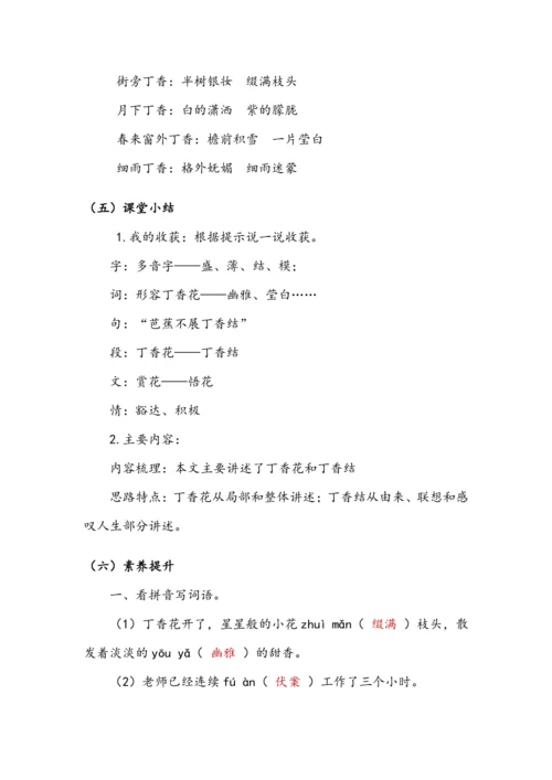 2.丁香结 第一课时（教案）