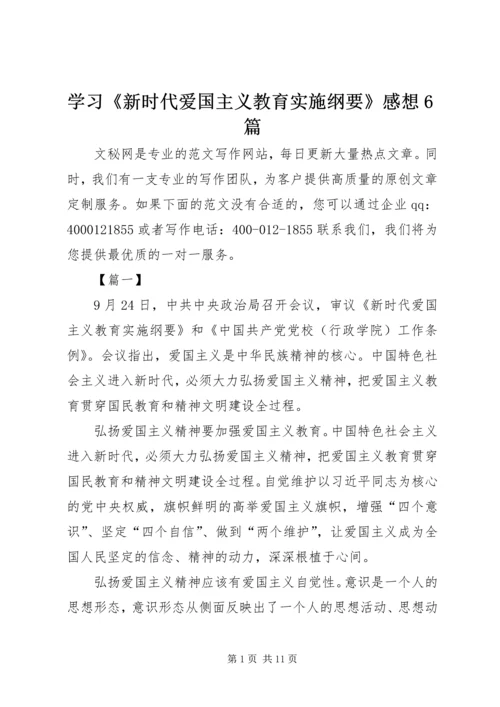 学习《新时代爱国主义教育实施纲要》感想6篇.docx