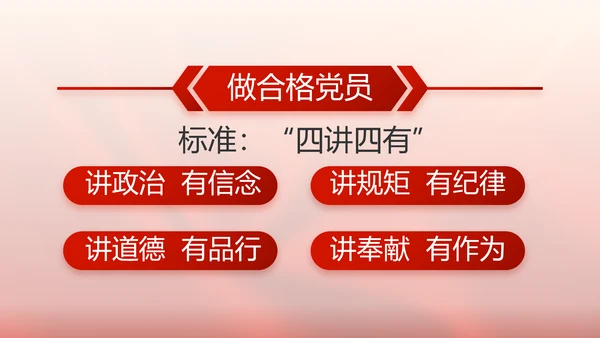 党支部党员大会工作总结汇报计划动态PPT