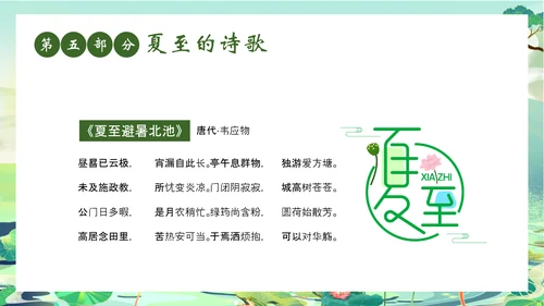 夏至时节主题班会荷花莲花池PPT模板