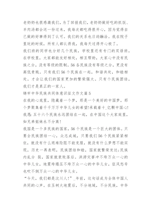 铸牢中华民族共同体意识征文作文.docx