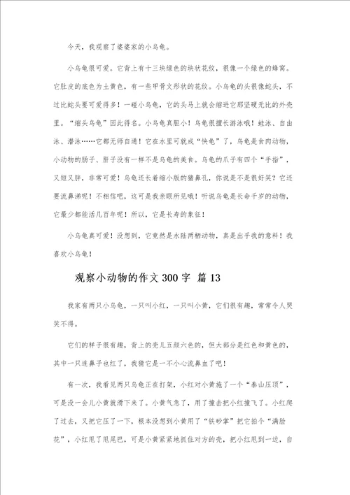 观察小动物的作文300字