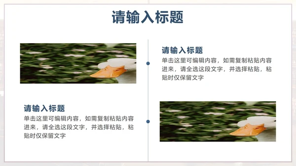 蓝色实景简约阅读有光读书分享会PPT模板