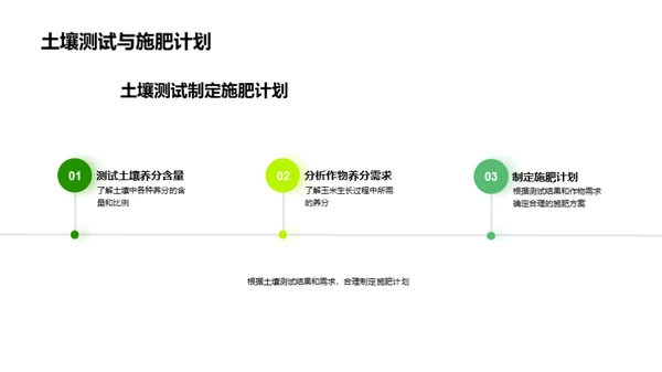 玉米种植新视角