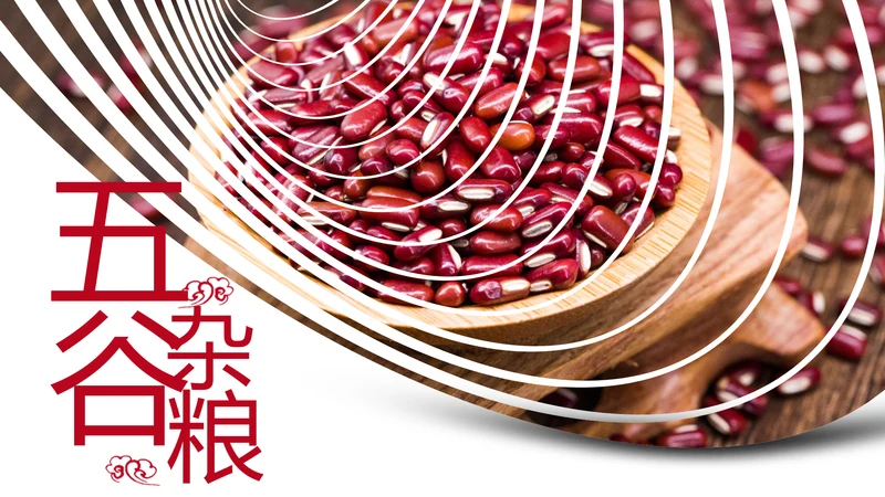 时尚五谷杂粮养生五谷粗粮美食PPT模板