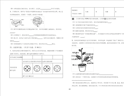 最新初中七年级生物上册期末摸底考试及答案