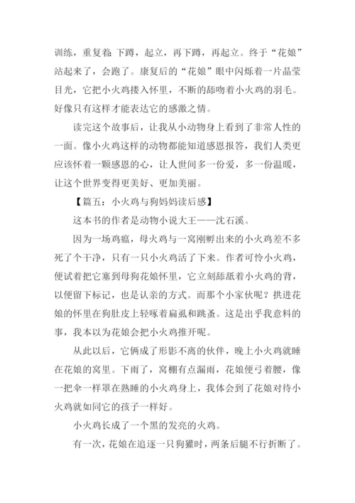 小火鸡与狗妈妈读后感500字.docx