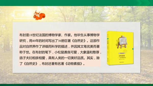 17 松鼠 第二课时课件