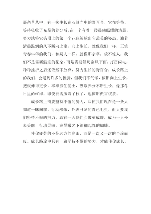 一路努力一路成长作文900字.docx