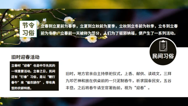 立春春景通用PPT模板