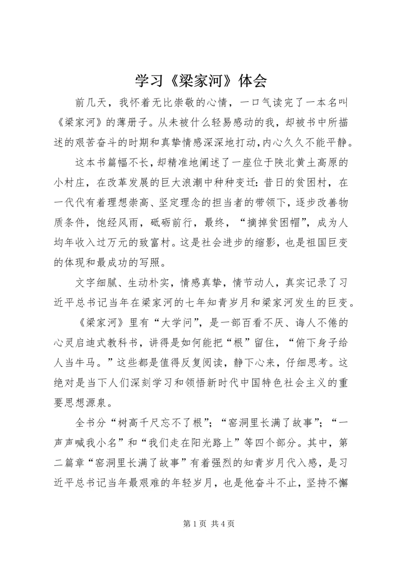 学习《梁家河》体会 (2).docx