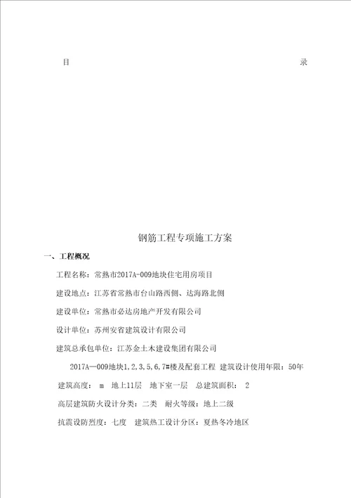 钢筋工程专项施工方案修订稿
